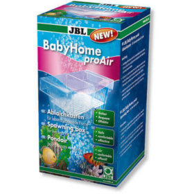 JBL BabyHome pro Hava Taşı Yavruluğu