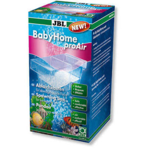 JBL BabyHome pro Hava Taşı Yavruluğu