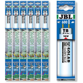 JBL Solar Marin Mavi T8 Floresan
